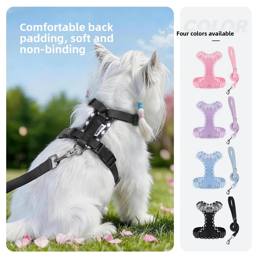 harnais laisse pour chien