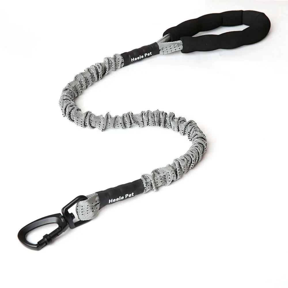 laisse anti traction