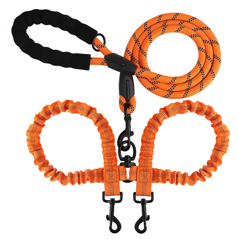 laisse double chien qui tire