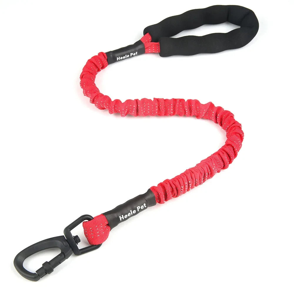 laisse anti traction