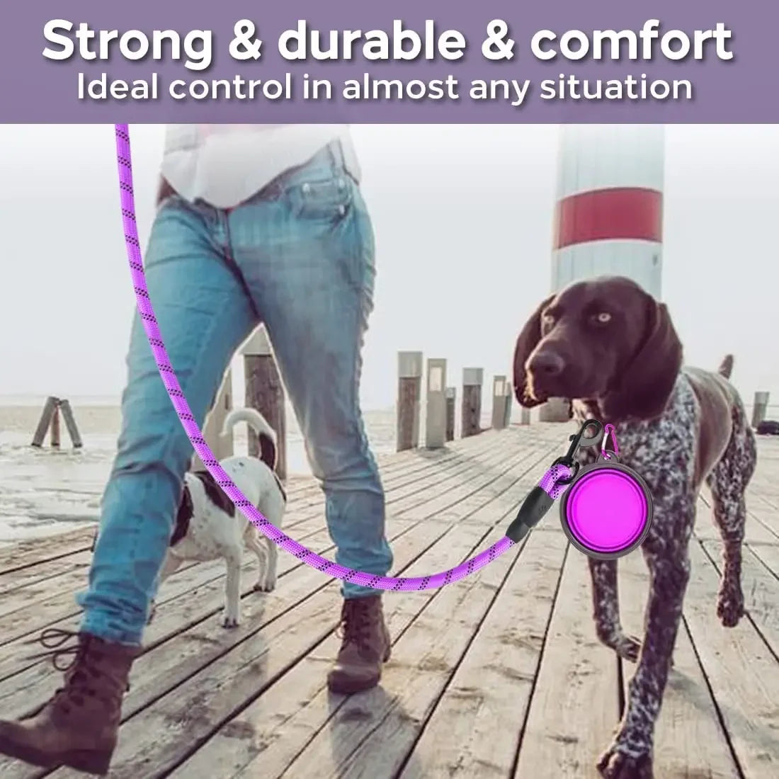 laisse ronde pour chien