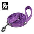 laisse de marche pour chien