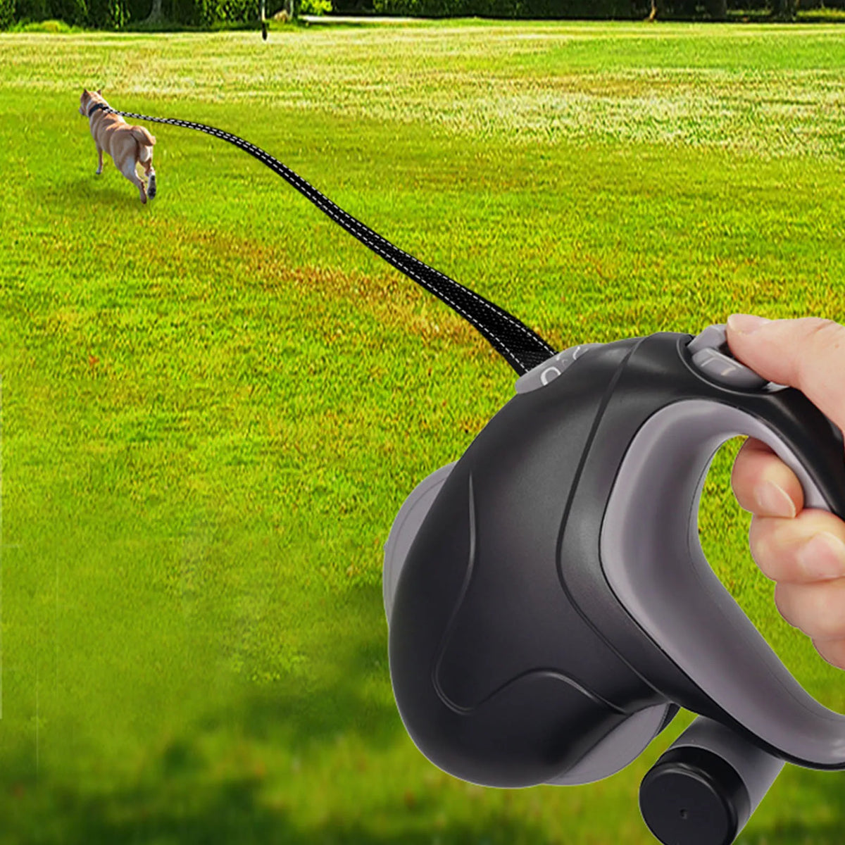 laisse pour chien enrouleur 10m