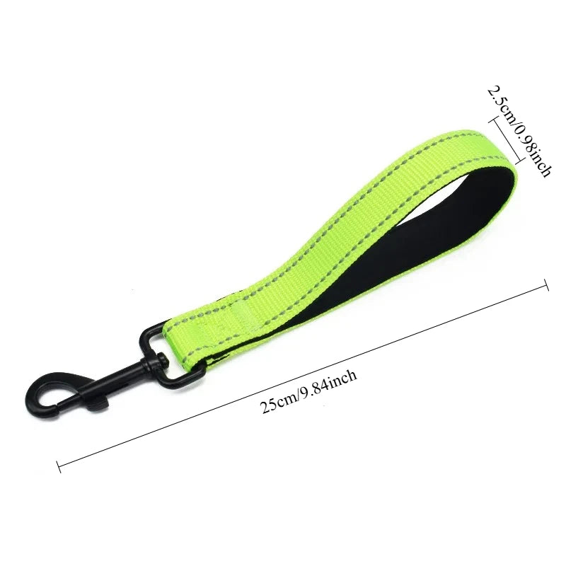 laisse courte pour chien