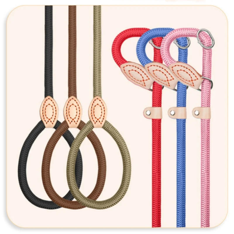 laisse coulissante pour chien