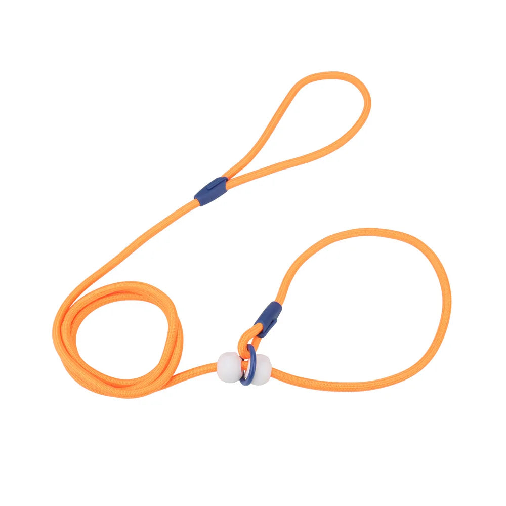 laisse de présentation pour chien 6 mm