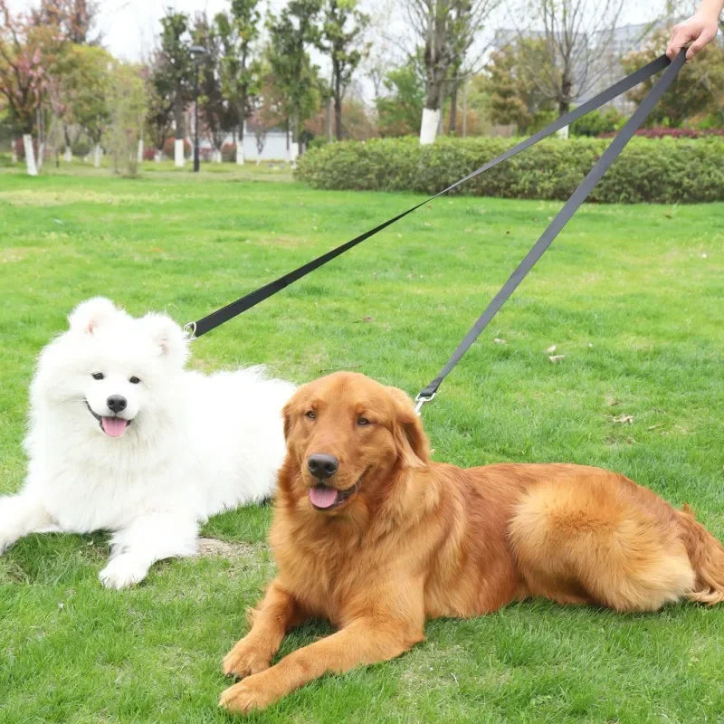 laisse 3 position pour chien