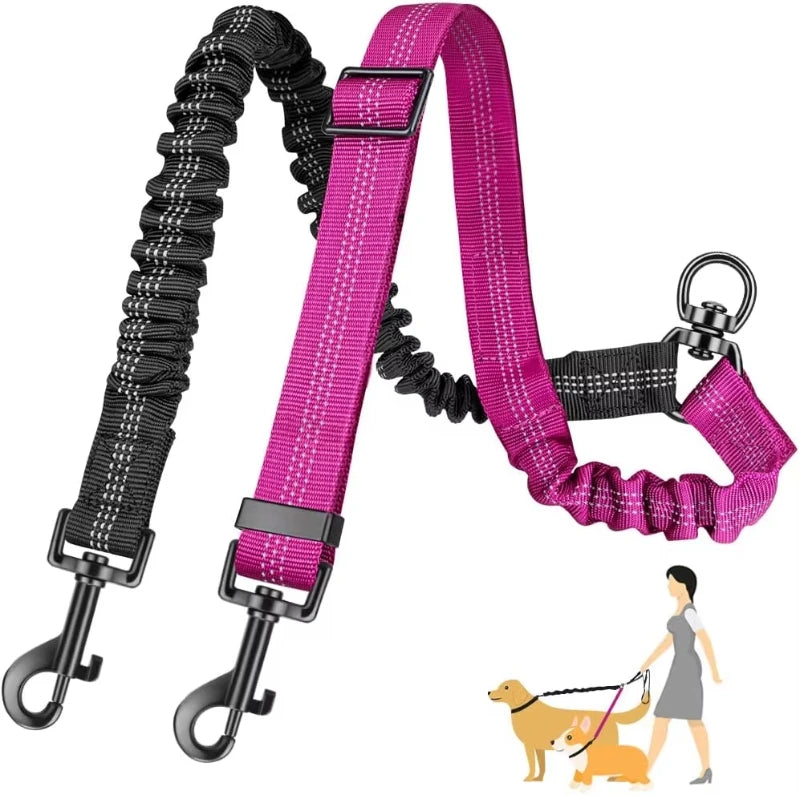 double laisse pour chien
