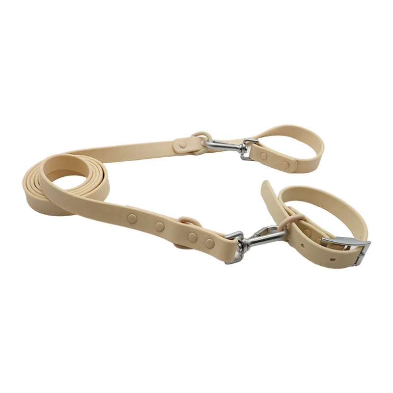 collier et laisse bleu brillante pour chien