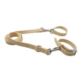 collier et laisse bleu brillante pour chien