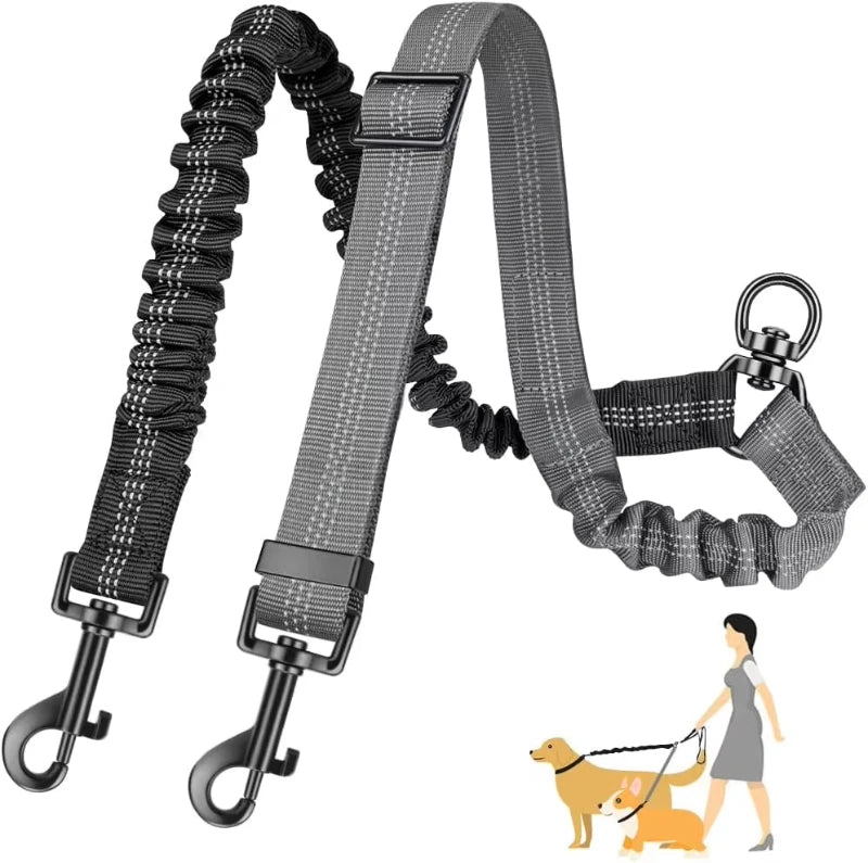 double laisse pour chien