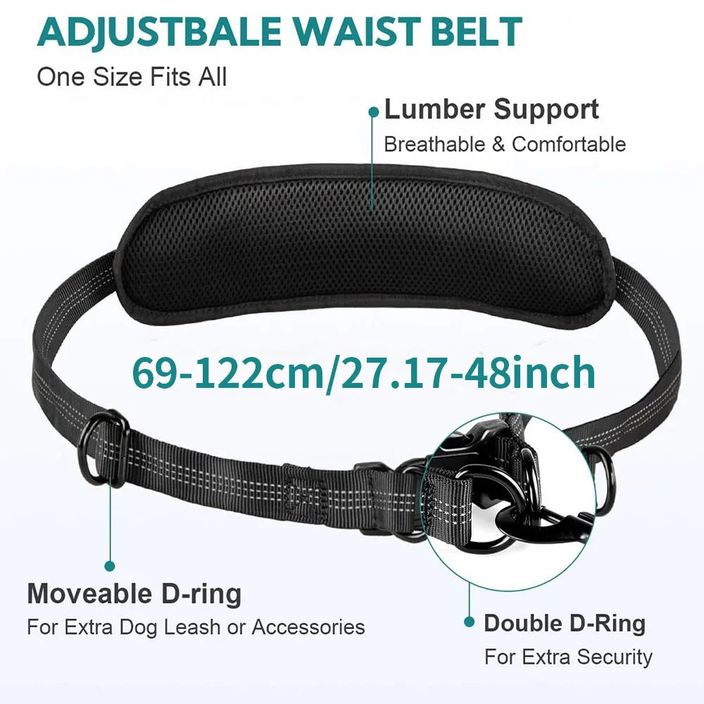 double laisse pour chien ventrale avec rangement