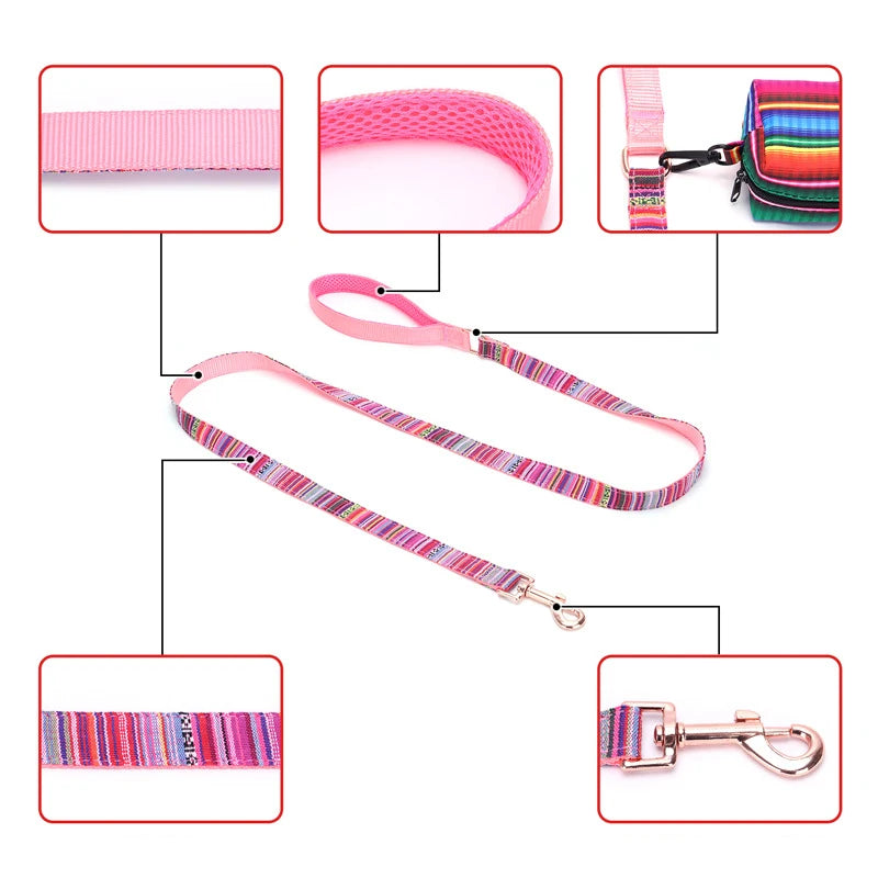 laisse crochet pour petit chien