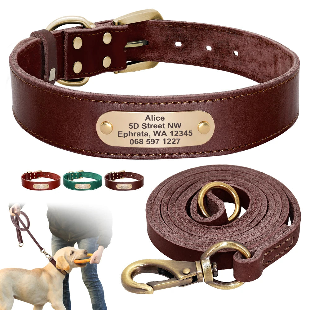 collier epais en cuire avec laisse pour gros chien