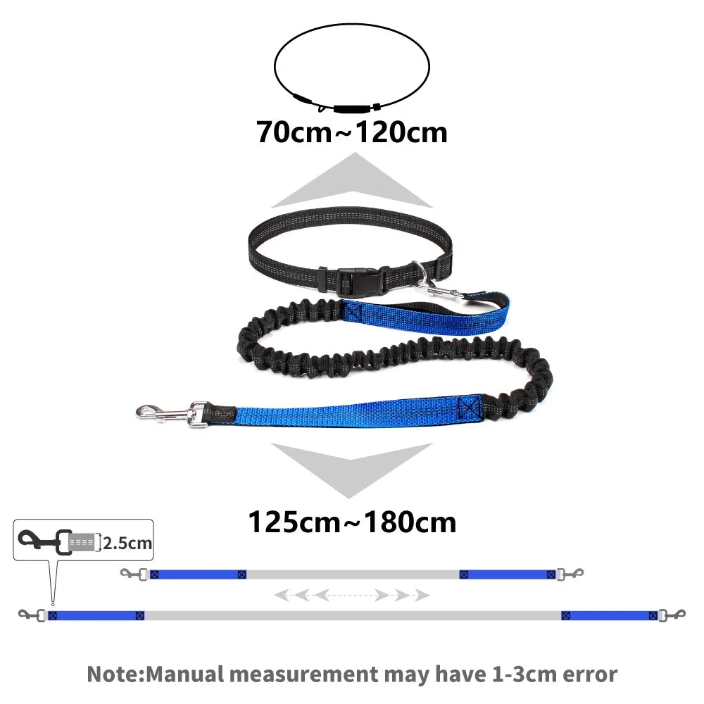 laisse ceinture pour chien