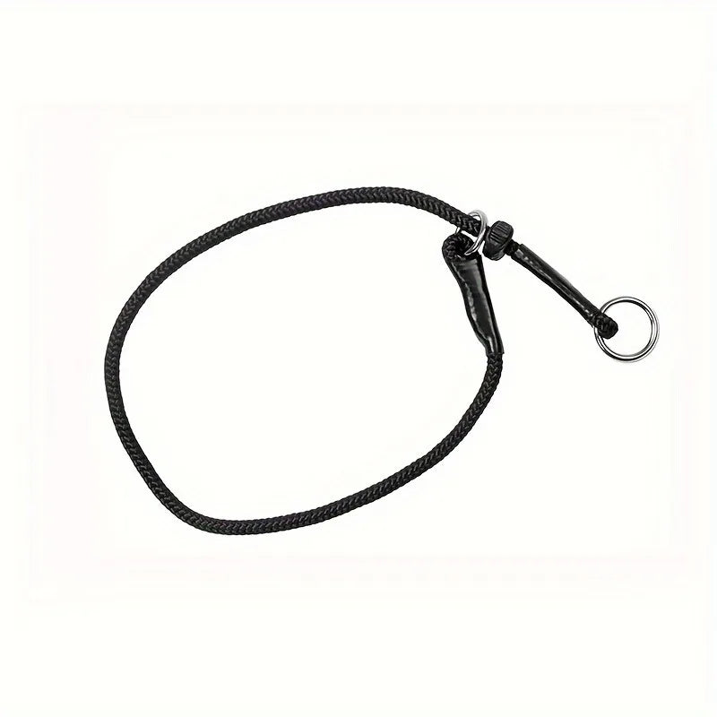 laisse collier étrangleur