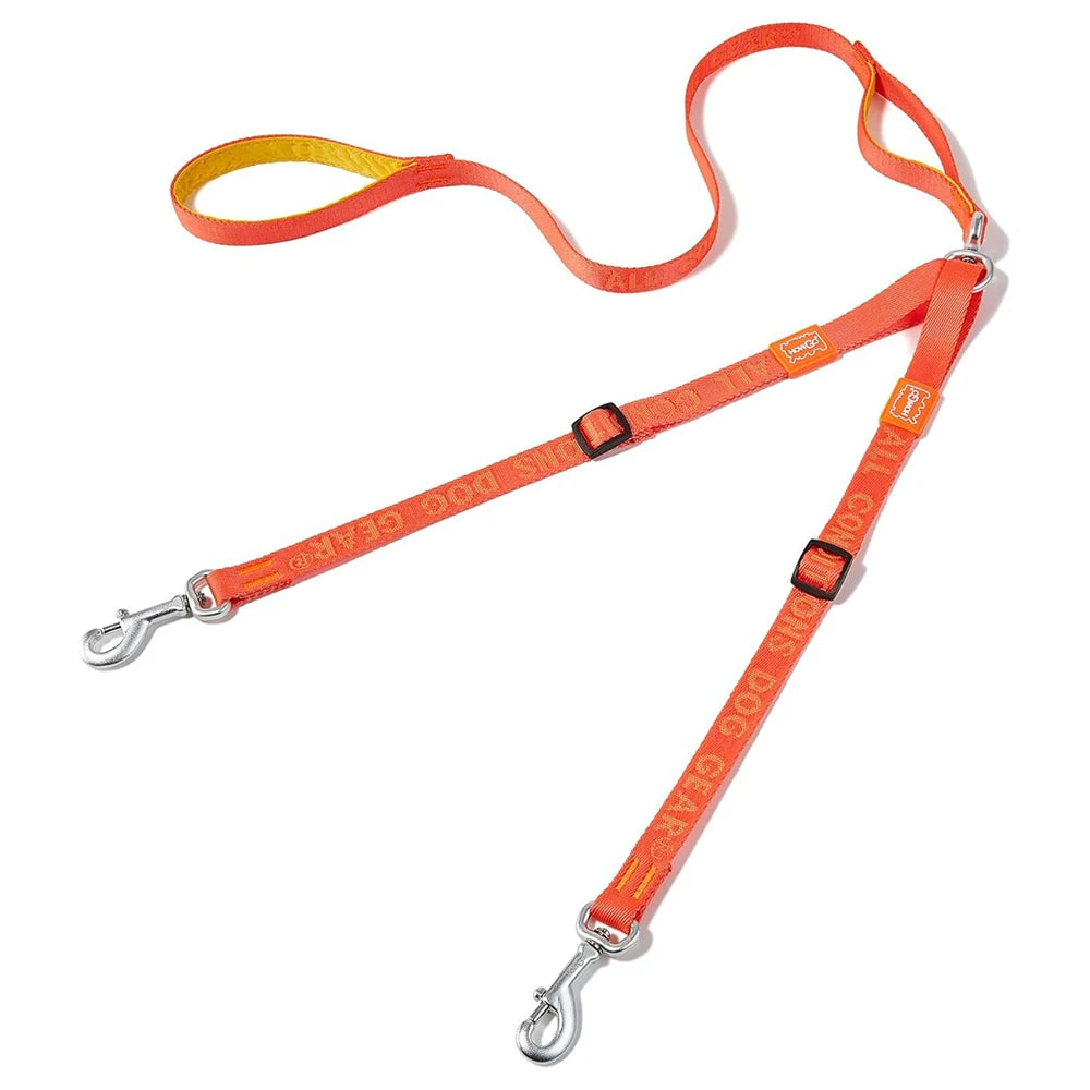 double laisse pour chien fine