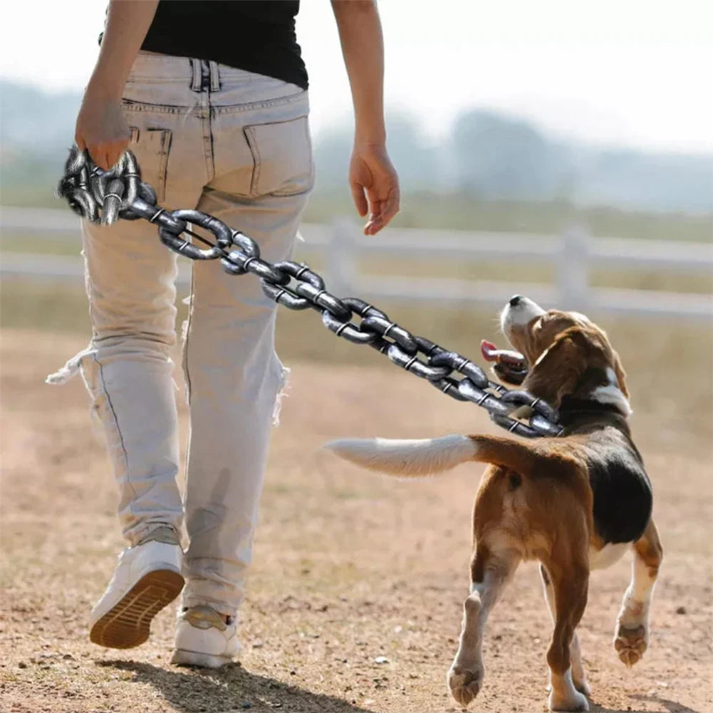laisse fantaisie pour chien