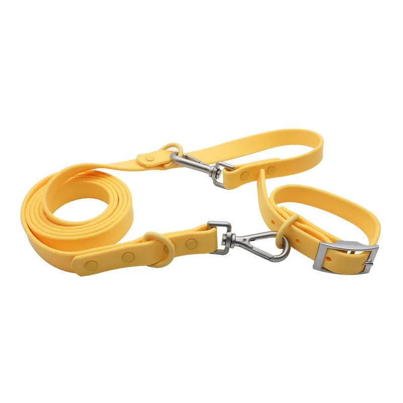 collier et laisse bleu brillante pour chien