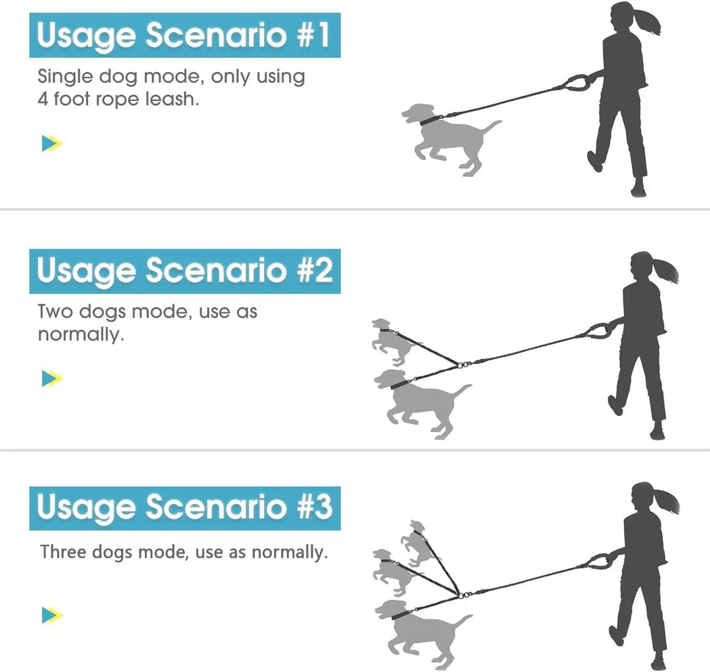 laisse pour 3 chien