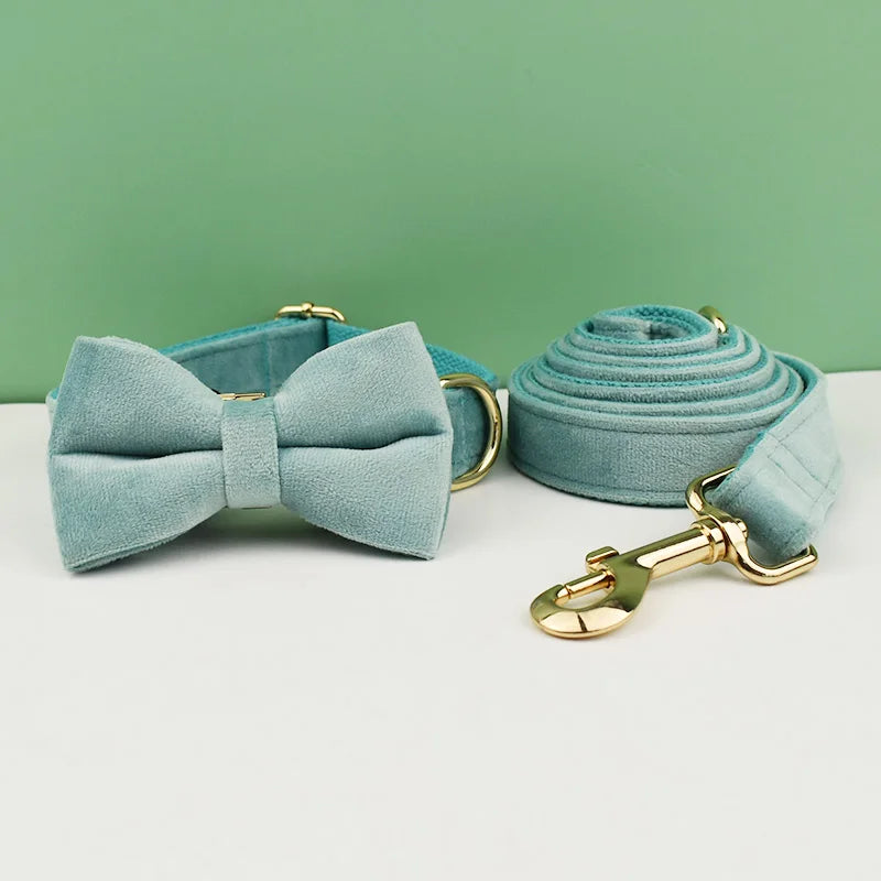 collier et laisse pour chihuahua