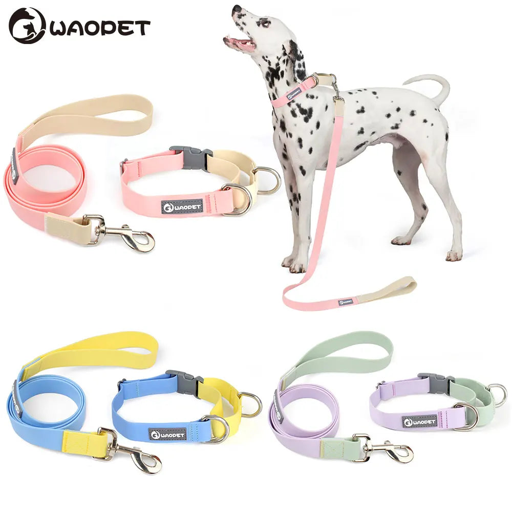 collier et laisse pour chien