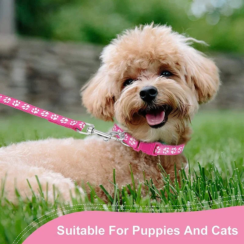 laisse rouge pour chien