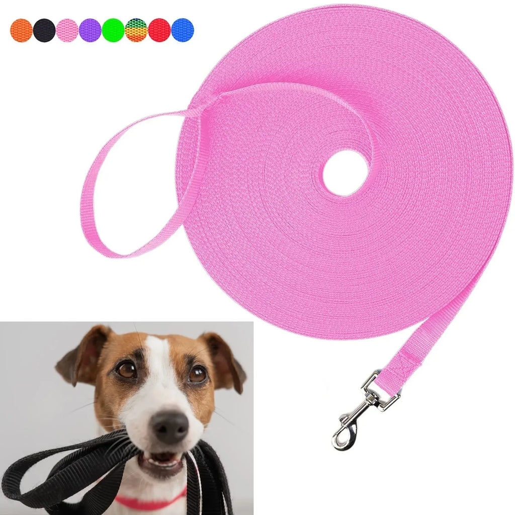 laisse 8 m pour chien