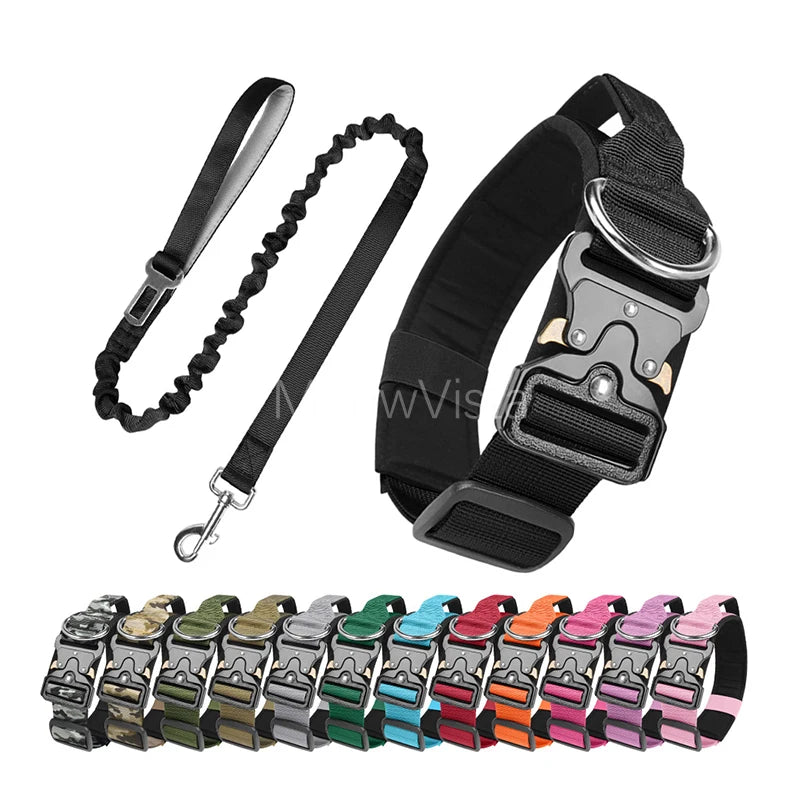 collier et laisse d'intervention pour chien berger allemand