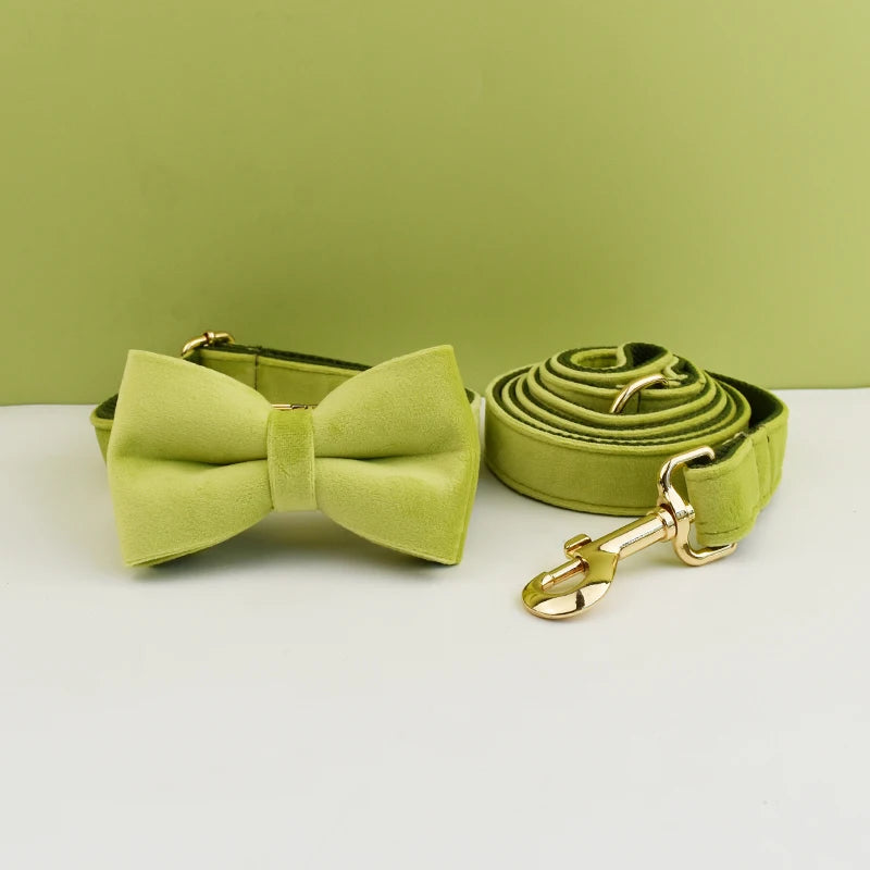 collier et laisse pour chihuahua