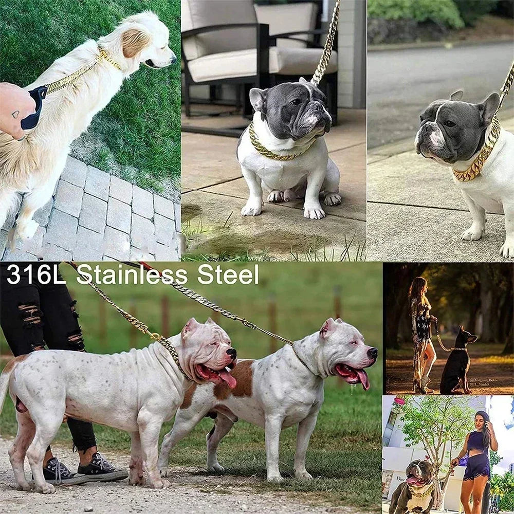 laisse en chaine gros chien
