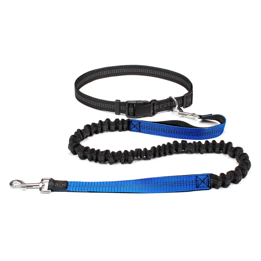 laisse ceinture pour chien