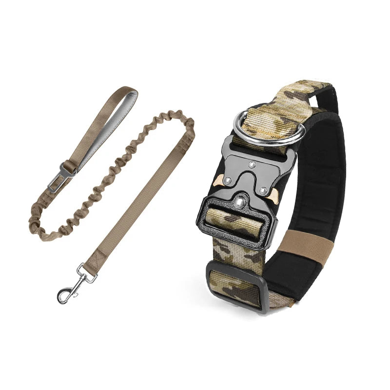 collier et laisse d'intervention pour chien berger allemand