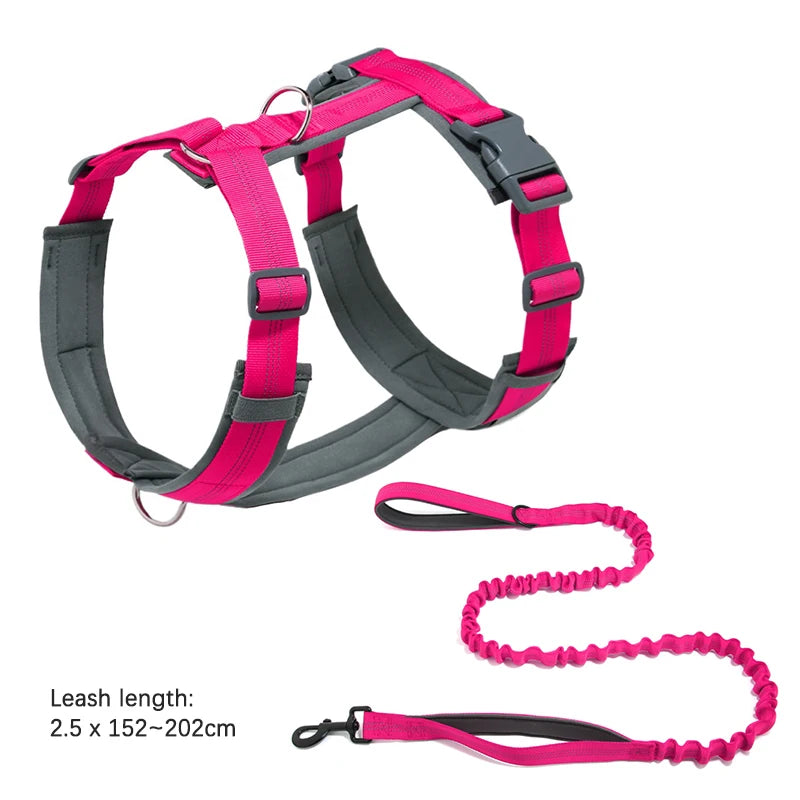 laisse anti fugue pour chien