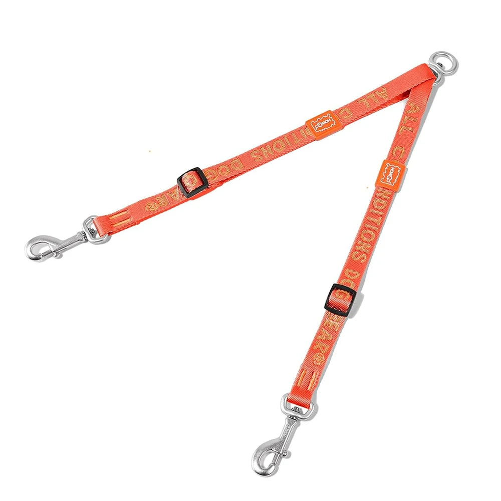double laisse pour chien fine