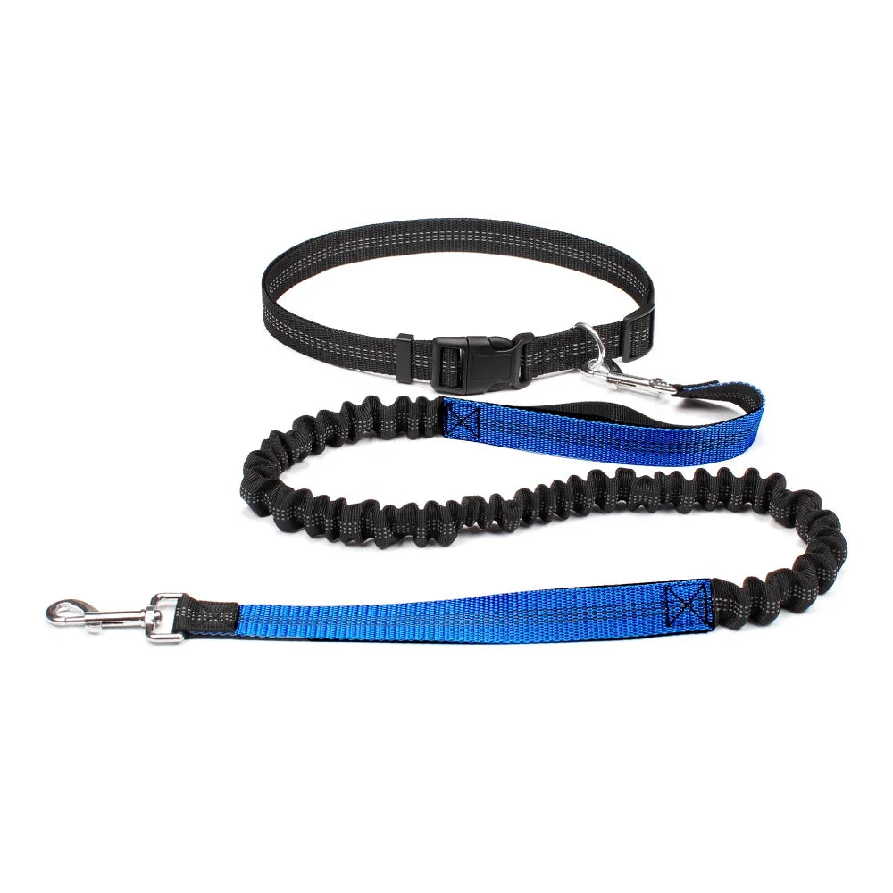 laisse ceinture pour chien