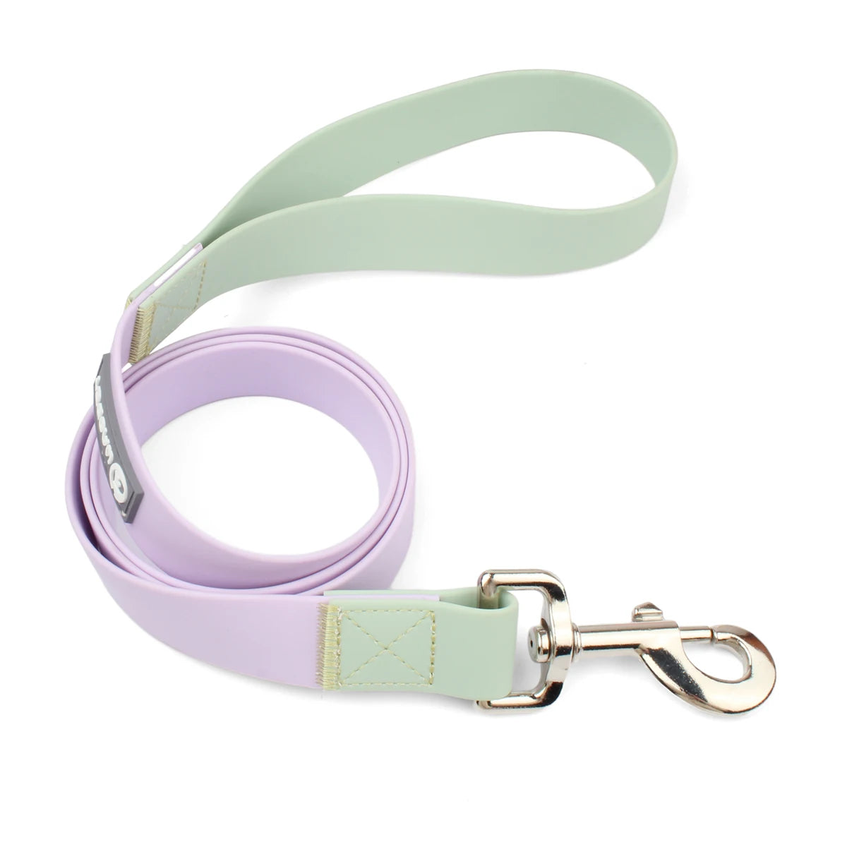 collier et laisse pour chien