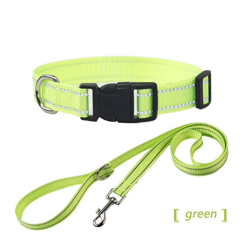 collier et laisse assorti pour chien