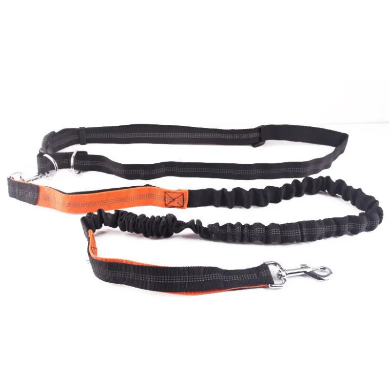 laisse canicross pour chien