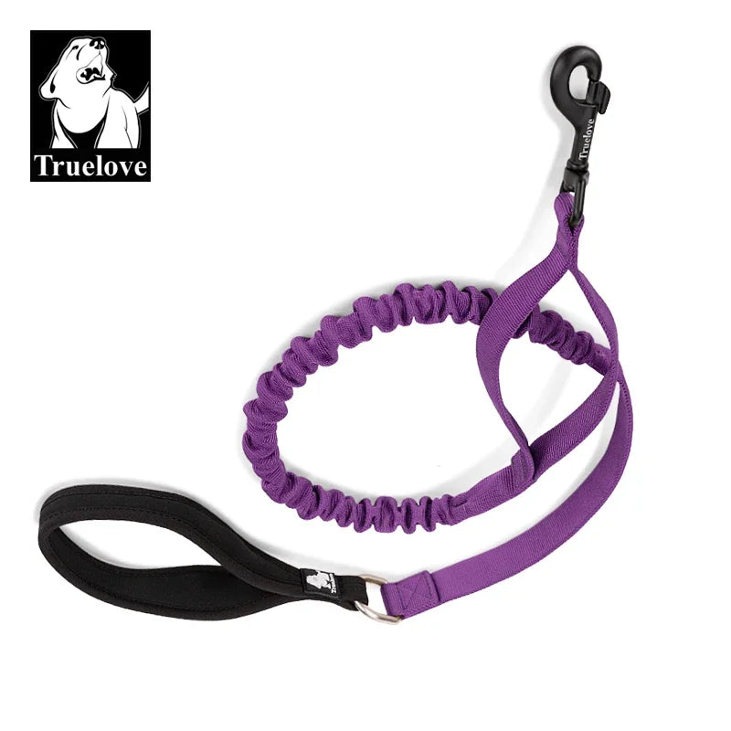 laisse pour chien elastique