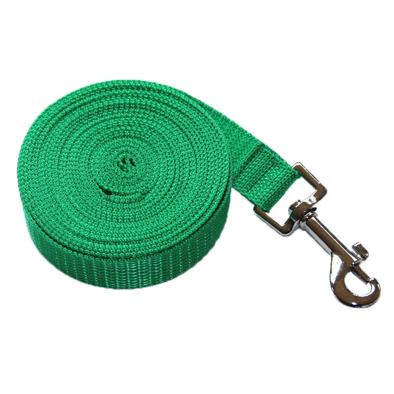 laisse 30m pour chien