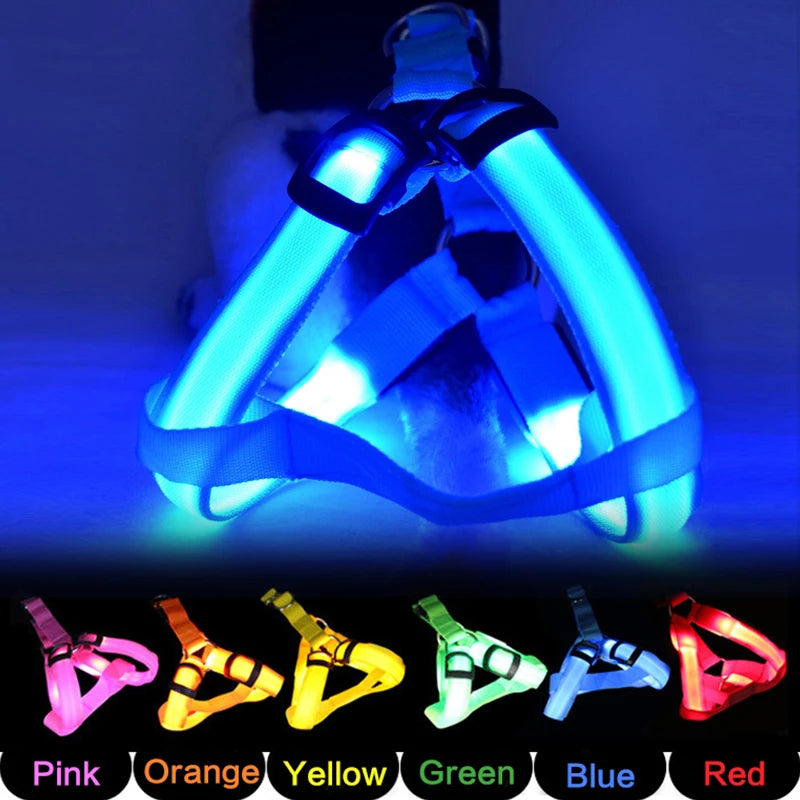 harnais et laisse led pour chien
