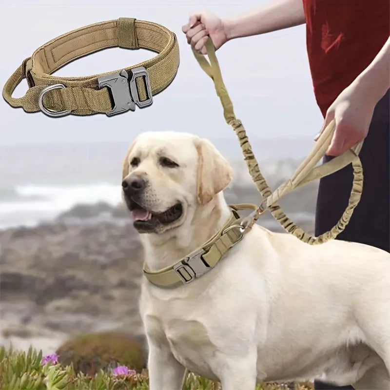collier et laisse pour chien camouflage