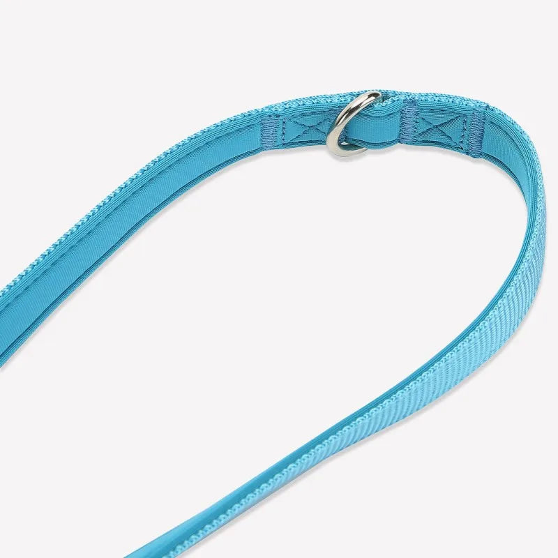 laisse bleu pour chien