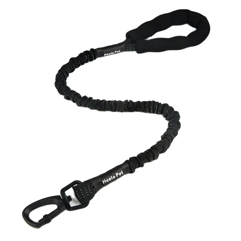 laisse anti traction