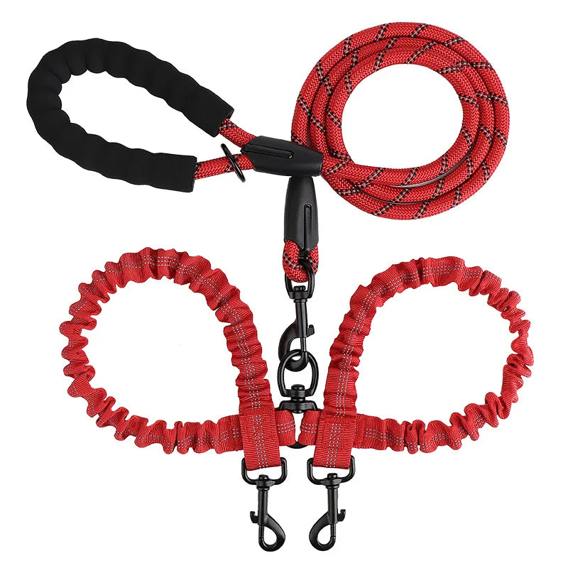laisse double chien qui tire