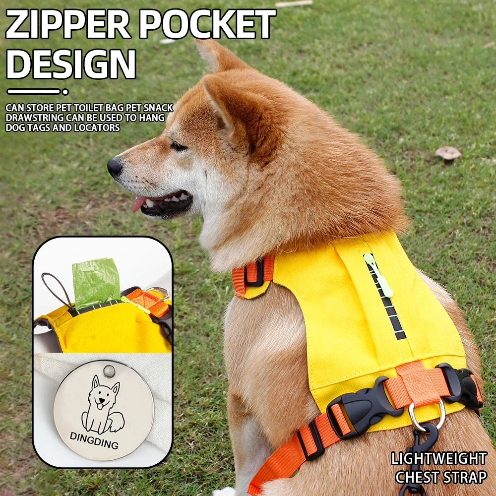 impermeable pour chien pour chien avec accroche laisse