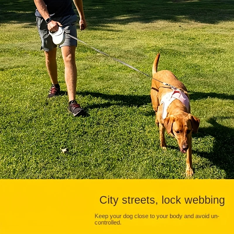 laisse enrouleur solide pour chien