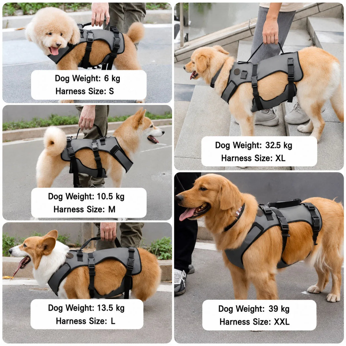 harnais laisse soutien chien a mobilité réduite