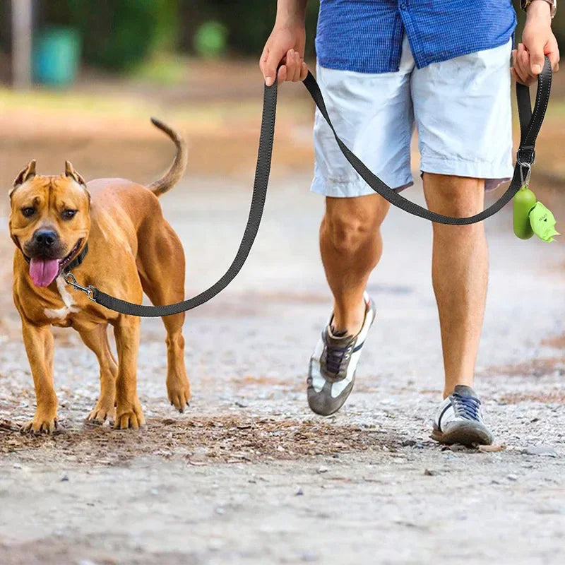 laisse sangle pour chien